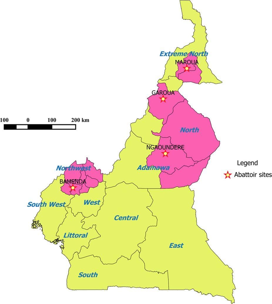 ক্যামেরুন, দেশ, অঞ্চল, মানচিত্র