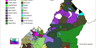 মানচিত্র ক্যামেরুন ভাষা